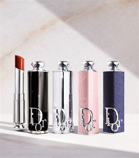 christian dior lipstick case.